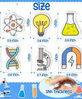 Cool Science Themed Erasers Set For Kids 60 Pack Back To School Gift with atom, light bulb, test tube, DNA, microscope, magnet designs