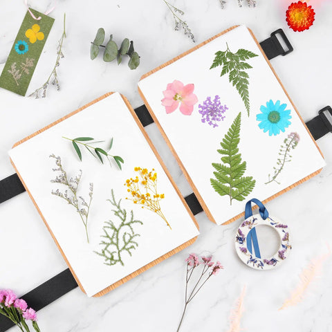 Professional Flower Press Kit With Six Layers And A 6.3 By 8.3 Inch Pressing Area For Adults And Kids, showing pressed flowers on boards