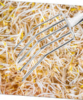 Heavy Duty Garden Fork And Small Shovel For Digging And Transplanting, Compact Stainless Steel Spade in bean sprouts.