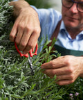 Person using 420 Trimming Scissors 6.1 Inch Garden Clippers with fine tip and nonstick blade for precise pruning in garden.