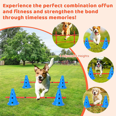 Dog using Backyard Dog Agility Training Kit For Real Pros And Beginners With Adjustable Hurdles Cones Agile Rods