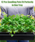 Person holding 5 Piece Seed Starter Tray Kit With 60 Square 3.5 Inch Pots, No Drain Holes On Trays, Includes 60 Plant Tags And 2 Mini Gardening Tools, Reusable Germination Trays For Seedlings And Microgreens, Sturdy All-In-One Grow Kit.