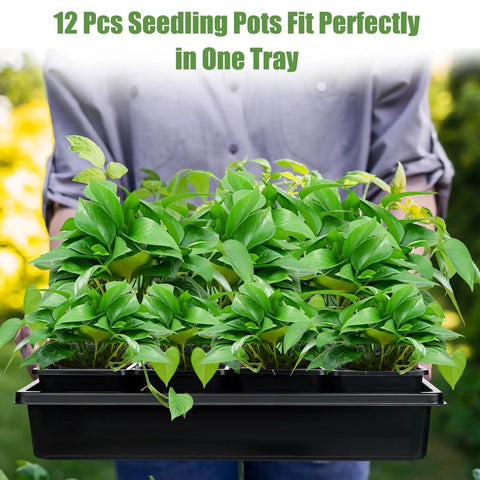Person holding 5 Piece Seed Starter Tray Kit With 60 Square 3.5 Inch Pots, No Drain Holes On Trays, Includes 60 Plant Tags And 2 Mini Gardening Tools, Reusable Germination Trays For Seedlings And Microgreens, Sturdy All-In-One Grow Kit.