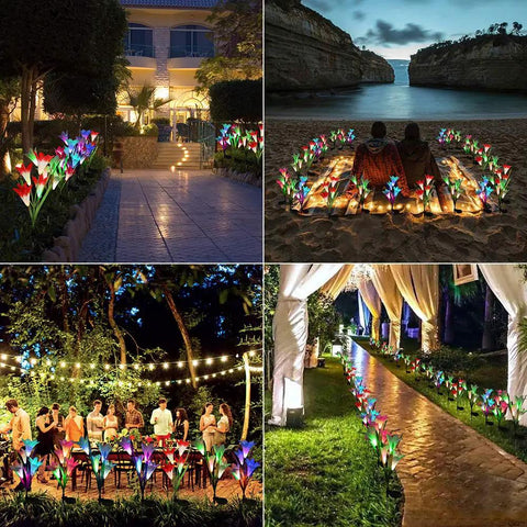 Solar Lily Garden Lights 6 Pack With 24 LED Outdoor Stake Lights illuminating paths and decor at night in various outdoor settings.