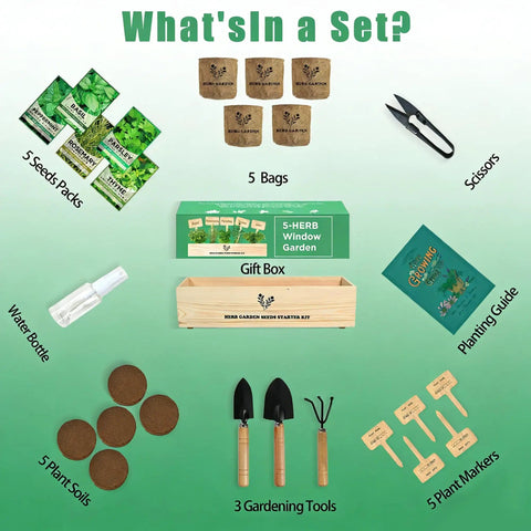 Indoor Herb Garden Starter Kit With Basil Parsley Rosemary Thyme And Mint Includes Planter Box Soil Discs Planters Markers Pruners Spray Bottle Mini Tools And Gift Box For Women Perfect For Kitchen Counter Or Windowsill Fresh Flavor All Year