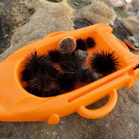 Orange Red Spearfishing Float Buoy with sea urchins, showcasing storage capacity and D ring handles.