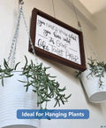 Wall art and hanging plants supported by Picture Frame Safety Hanging Kit Set 6 Pack With 2 Meter Steel Cables And 12 Double Hole D Ring Hangers