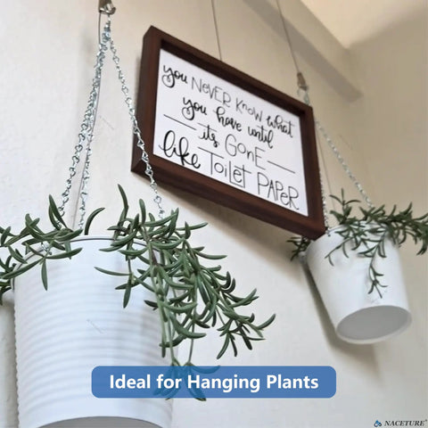 Wall art and hanging plants supported by Picture Frame Safety Hanging Kit Set 6 Pack With 2 Meter Steel Cables And 12 Double Hole D Ring Hangers