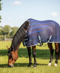 Horse wearing Dual Fabric Scrim Sheet With Mesh Fusion For Warm Weather Horse Blanket Breathable Lightweight Coverage Front Closure