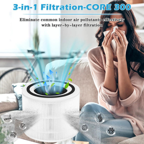 Premium 300 RF True HEPA 3 In 1 Filtration Replacement Filter For Air Purifier Top Notch Efficiency in living room scene