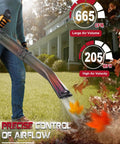 Person using 63Cc Beast Gas Backpack Leaf Blower With 205 MPH Airflow And 665 CFM, blowing leaves on lawn.