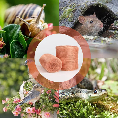 Copper Mesh Rodent Control Roll 5 Inch By 35 Feet Copper Wire Screen for Mice, Rats, Bat, Snail Barrier DIY, with pest images