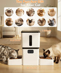 Top Shelf Automatic Cat Feeder With Dual Bowls And HD Camera Setup Built For Two Cats with two cats eating.