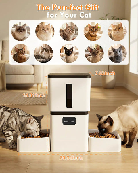 Top Shelf Automatic Cat Feeder With Dual Bowls And HD Camera Setup Built For Two Cats with two cats eating.