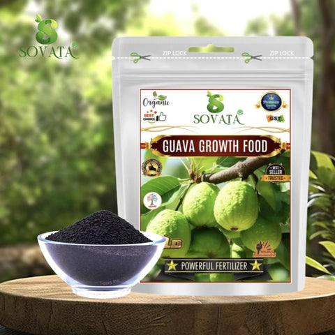 Guava Growth Food Organic Fertilizer For Fast Growth And Heavy Fruiting 200 G With Nitrogen Phosphorus Potassium And Microorganisms For Big Yields In Your Home Garden. Pack and granules