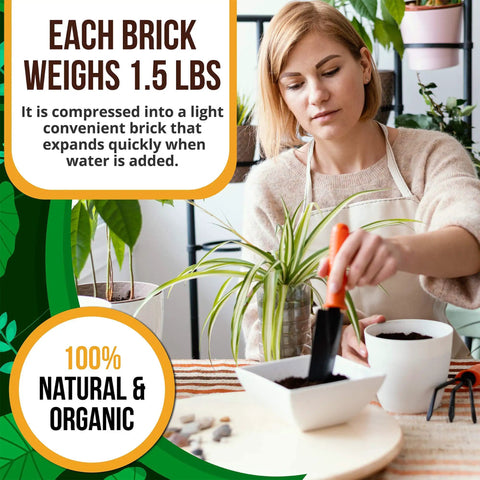 Woman using High Expansion Coco Coir Bricks 5 Pack 650g Each Peat Free Coconut Coir Low EC And pH Balanced for potting plants indoors.