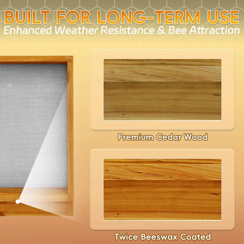10 Frame Beehive Screened Bottom Board With Beeswax Coating For Langstroth Hives Pro Grade Cedar Construction with mesh detail