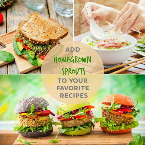 Variety of dishes with speckled pea sprouts including sandwiches, bowls, and burgers. Text overlay promoting homegrown sprouts.