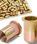 Rivet Nut Kit 60 Pcs Five Sixteenth By Eighteenth UNC Zinc Plated Carbon Steel Flat Head Threaded Insert Nuts Display