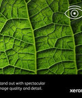 Close-up of a green leaf showing intricate veins and textures to demonstrate Top Shelf Color Printer With Hella Fast 30 Pages Per Minute Duplex Printing, 250 Sheet Capacity, Front Usb Access, Ethernet And Usb Hooks Up Easy For Any Hustling Workspace.