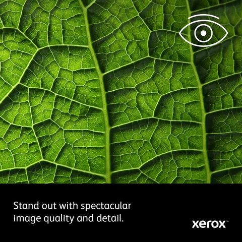 Close-up of a green leaf showing intricate veins and textures to demonstrate Top Shelf Color Printer With Hella Fast 30 Pages Per Minute Duplex Printing, 250 Sheet Capacity, Front Usb Access, Ethernet And Usb Hooks Up Easy For Any Hustling Workspace.