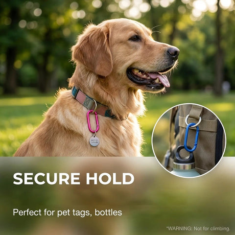 16 Piece Oval Carabiner Clips Set for Keychains and Lanyards Aluminum Alloy Lightweight Yet Sturdy Snap Hooks with dog tag