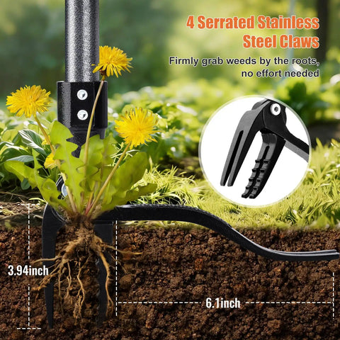 Stand Up Weed Puller Tool With 45 Inch Steel Handle And Four Claw Head For Upright Weeding No Bending Or Kneeling All Steel Construction Garden Maintenance demonstrated in use