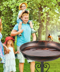Vintage Bronze Metal Bird Bath And Feeder Bowl For Outdoors With Upgraded Five Prong Base And Taller Support Rod shown in garden