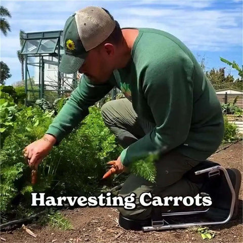 Man using Knee Seat For Gardening And Farm Work Strap On Kneeling Device To Save Your Labor Protects Your Knees With Durable Iron Frame
