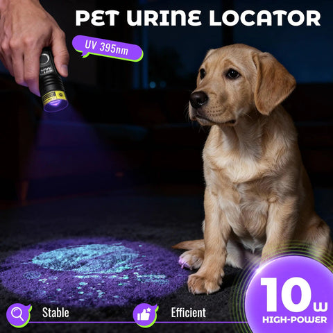 Ultra Bright 395nm UV Flashlight With LCD Display And USB C Rechargeable 10W Power detecting pet urine on carpet