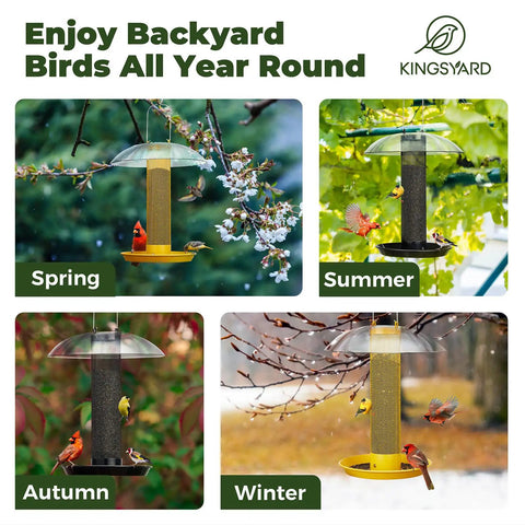 Outdoor Finch Bird Feeder Tube With Rainproof Dome Metal Mesh For Nyjer Thistle Seed No Mess 2.5 Lb Capacity shown in all seasons