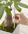 Aquameter Two Pack Soil Moisture Meter For Indoor Plants Refillable Green Humidity Sensor Probe And Water Level Indicator in potted tree