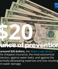Stack of dollar bills with text '$20 ounce of prevention' promoting affordability of Smart Water Leak Detector 4 With 105dB Alarm, Freeze Warning, App Push, Email Alerts, Limited Text, Alexa And IFTTT Compatibility, One Quarter Mile LoRa Long Range Sensor, Hub Required.