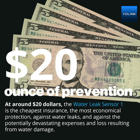 Stack of dollar bills with text '$20 ounce of prevention' promoting affordability of Smart Water Leak Detector 4 With 105dB Alarm, Freeze Warning, App Push, Email Alerts, Limited Text, Alexa And IFTTT Compatibility, One Quarter Mile LoRa Long Range Sensor, Hub Required.