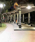 Top Tier Solar Led Flood Light With Remote Trigger And Smart Motion Detector For Driveway And Fence illuminating a curved pathway at night.