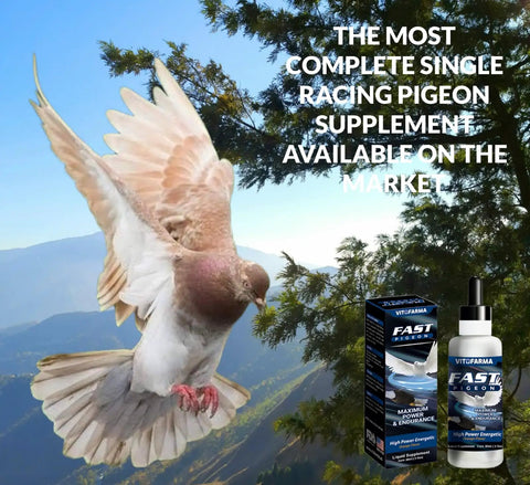 Fast Pigeon Energy Boosting Liquid Supplement With Vitamins And Minerals For Birds 60 Ml package with flying pigeon