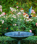 Bird flies over Two And A Half Watt Solar Fountain Pump With Six Nozzles Six To Seven Inch Solar Powered Water Fountain