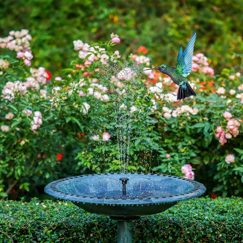 Bird flies over Two And A Half Watt Solar Fountain Pump With Six Nozzles Six To Seven Inch Solar Powered Water Fountain