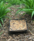 Ground Bird Feeder Tray 8 Inch Square Platform Metal Mesh Seed Holder Outdoor Garden Decor with seeds, Durable Black Finish.