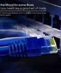 Close-up of Cat6 Ethernet patch cable plugged into a network switch port with blue sleeve and gold plated RJ45 connector.