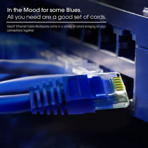 Close-up of Cat6 Ethernet patch cable plugged into a network switch port with blue sleeve and gold plated RJ45 connector.