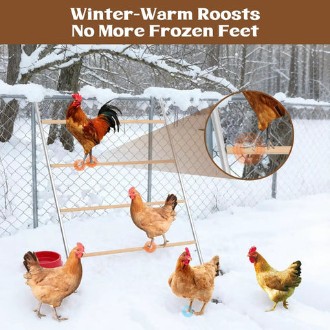 Large Chicken Roosting Bars For Coop 55 Inch Perch With Sturdy Metal Frame Easy To Clean Roost Ladder For Hens in snowy backyard.