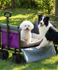 Lightweight Foldable Wagon Cart With Removable Side For Groceries Pets Camping Beach Shopping And More, featuring two dogs