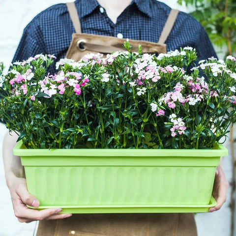 Person holding green plastic flower box planter filled with pink and white flowers. "Four Pack Rectangular Window Flower Box Planters With Trays For Balcony Windowsill Garden Durable Eco Friendly Plastic Great For Flowers Herbs And Small Vegetables 16.8 Inch Long."