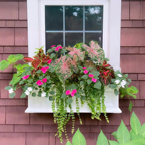 Three Foot Self Watering Window Box Planter With Double Wall Design All Season UV Resistant Outdoor Flower Box Includes Steel Mounting Bracket Fade Resistant White installed with flowers