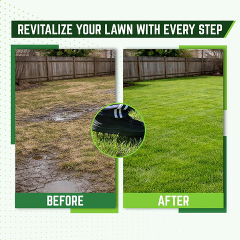 Before and after using Spiked Lawn Aerator Shoes Adjustable For Grass And Garden Yard Care With Heavy Duty Stainless Steel Spikes