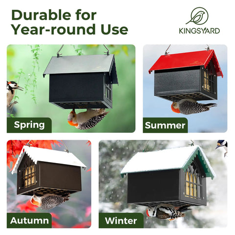 Double Upside Down Suet Feeder With Weatherproof Roof in different seasons showing its durability and bird use.