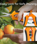 Three Pack 6.5 Inch Pruning Shears For Precise Cuts One Hand Operation Stainless Steel Straight Blades snipping orange branch