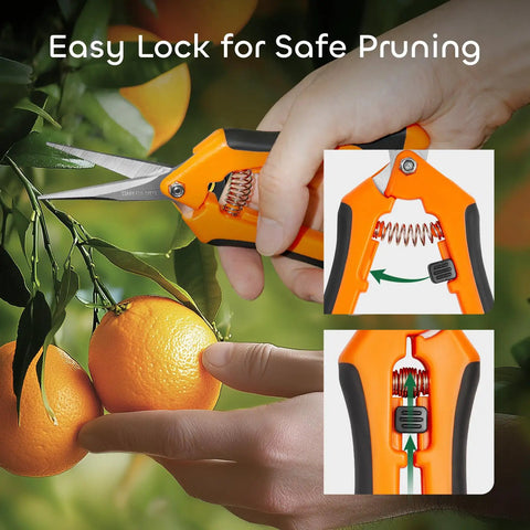 Three Pack 6.5 Inch Pruning Shears For Precise Cuts One Hand Operation Stainless Steel Straight Blades snipping orange branch