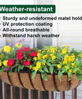Rock Solid Metal Railing Planter Two Pack 24 Inch Rust Proof Window Box with vibrant flowers and weather-resistant coco liner.